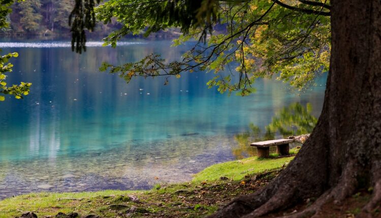 Como desconectar do caos e sentir mais leveza com um hábito simples