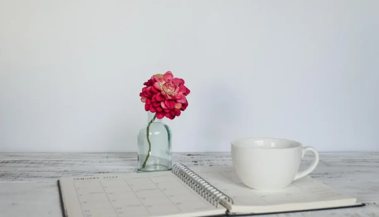 Transforme Sua Rotina: Ideias Criativas para Organizar Seu Dia