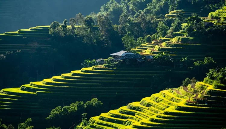 Turbinando seu apartamento: Potência e Mobilidade com Ecoflow